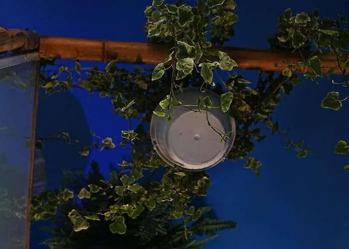 Sahara With Shared Bathroom In Centre * Bratislava