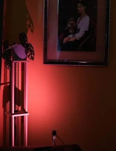 Sahara With Shared Bathroom In Centre アパート ブラチスラヴァ