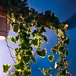 Apartmán Sahara With Shared Bathroom In Centre Bratislava
