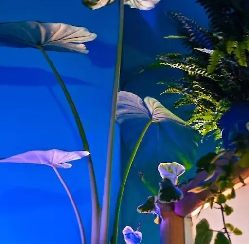 Sahara With Shared Bathroom In Centre Apartamento *