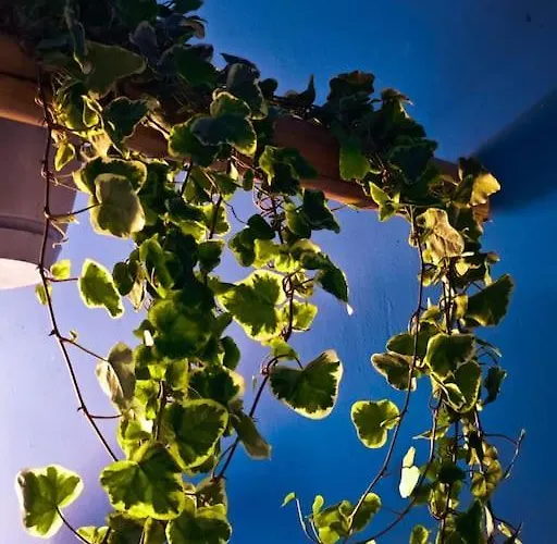 Apartamento Sahara With Shared Bathroom In Centre Bratislava